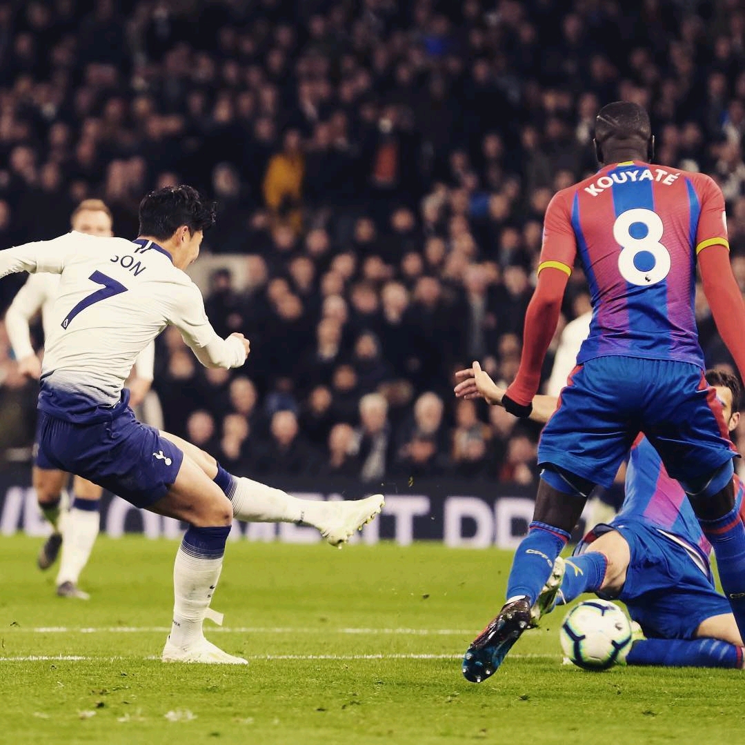 业生涯将会 业生涯将会